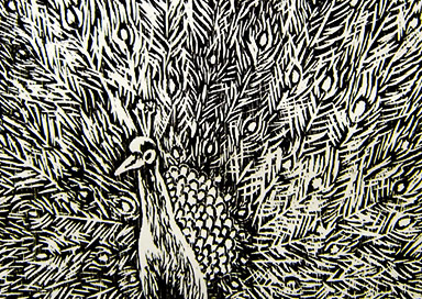 Peacock - Woodcut